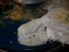 100_4435.jpg