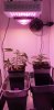 20200517_183229.jpg