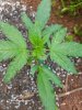 20200518_101015.jpg