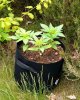 20200519_102613.jpg 20200519_102613.jpg