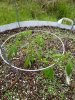 20200525_114231.jpg
