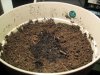 AI PlantedMay709.jpg