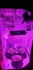 20200527_225517 - Copy.jpg