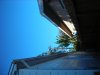 DSCN2736.JPG
