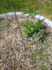 20200529_104525.jpg