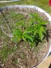 20200529_104609.jpg