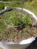 20200529_104639.jpg