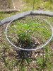 20200529_104708.jpg