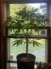 IMG_5524.jpeg