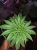 20200615_110545.jpg 20200615_110545.jpg