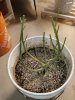 20200616_150536.jpg