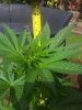 20200617_161027.jpg