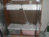 PC090046.jpg