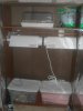 PC090047.jpg