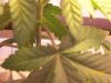 100_0711.jpg