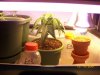 100_0725.jpg