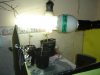 DSC06847.jpg