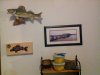 IMG_3678.JPG IMG_3678.JPG