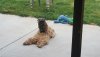 Resized_20170312_080356.jpeg