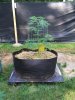6-25-2020--outdoor_crop (12).jpg