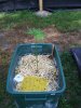 6-25-2020--outdoor_crop (14).jpg