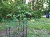6-25-2020--outdoor_crop (27).jpg