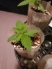 20200626_223125.jpg