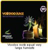 voodojuice.jpg