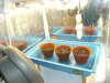 grow journal 026.jpg