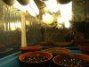 grow journal 040.jpg