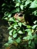 20200629_121541.jpg 20200629_121541.jpg