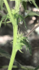 474E88F2-1E94-48E9-872F-4734F8E2EA73.png