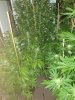 20200702_232043.jpg