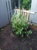 20200707_063203.jpg
