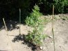 DSC01679.jpg