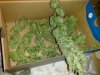 280520091049.jpg