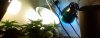 MyPicture.jpg