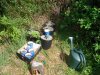 SDC10348.jpg