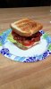 BLT.jpg