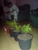 DSC00129.jpg