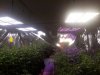 20200719_124529.jpg