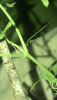 5AD31942-26D5-4E29-9F94-9F6DFEE25D73.png