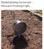 1595294233976.png