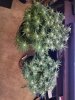 20200722_111341.jpg