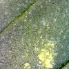 20-07-28 10:28:28.png 20-07-28 10:28:28.png