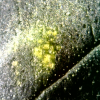 20-07-28 10:29:23.png 20-07-28 10:29:23.png