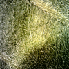 20-07-28 10:29:52.png 20-07-28 10:29:52.png