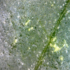 20-07-28 10:30:44.png 20-07-28 10:30:44.png
