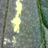20-07-28 10:32:51.png 20-07-28 10:32:51.png
