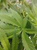 20200728_103514.jpg 20200728_103514.jpg